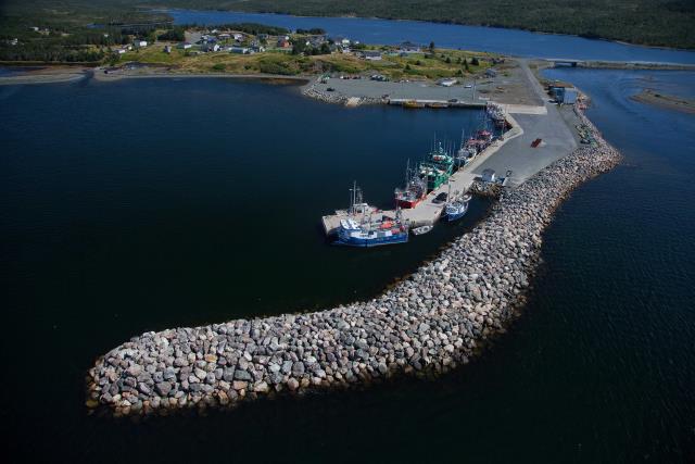Site du Port pour Petits Bateaux, 00055, O'Donnell's (Terre-Neuve-et-Labrador). (2020)