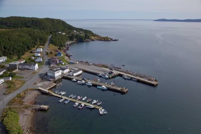 Site du Port pour Petits Bateaux, 00118, Chance Cove, (Terre-Neuve-et-Labrador) (2020)
