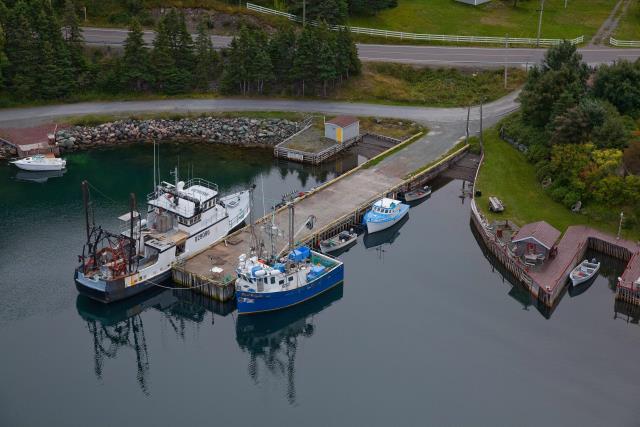 Small Craft Harbour Site, 26796, Conception Harbour, Newfoundland and Labrador. (2020)
