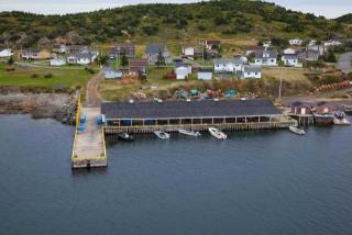 Site du Port pour Petits Bateaux, 01383, Jenkins Cove (Terre-Neuve-et-Labrador). (2020)