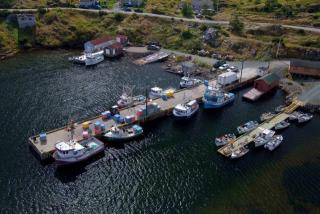 Small Craft Harbour Site, 01091, Old Bonaventure, Newfoundland and Labrador. (2020)