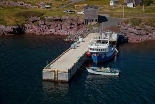 Site du Port pour Petits Bateaux, 01152, Open Hall (Terre-Neuve-et-Labrador). (2020)