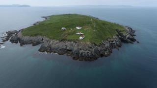 Île verte (baie Fortune), Point May, Terre-Neuve-et-Labrador 00465