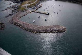 Site du Port pour Petits Bateaux, 00193, Ochre Pit Cove (Terre-Neuve-et-Labrador). (2020)
