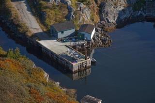 Small Craft Harbour Site, 00717, Fox Roost, Newfoundland and Labrador. (2020)