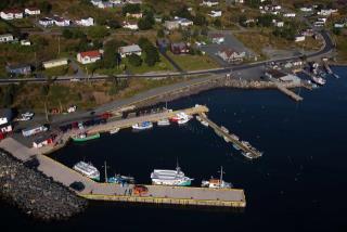 Site du Port pour Petits Bateaux, RBIF 23548, Bay Bulls, Terre-Neuve-et-Labrador. (2020)