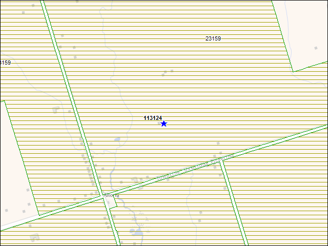 A map of the area immediately surrounding building number 113124