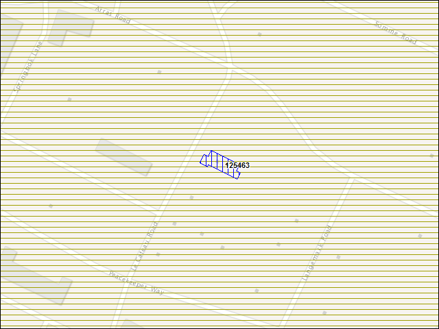 A map of the area immediately surrounding building number 125463